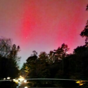 Meet your Posher, Shazia